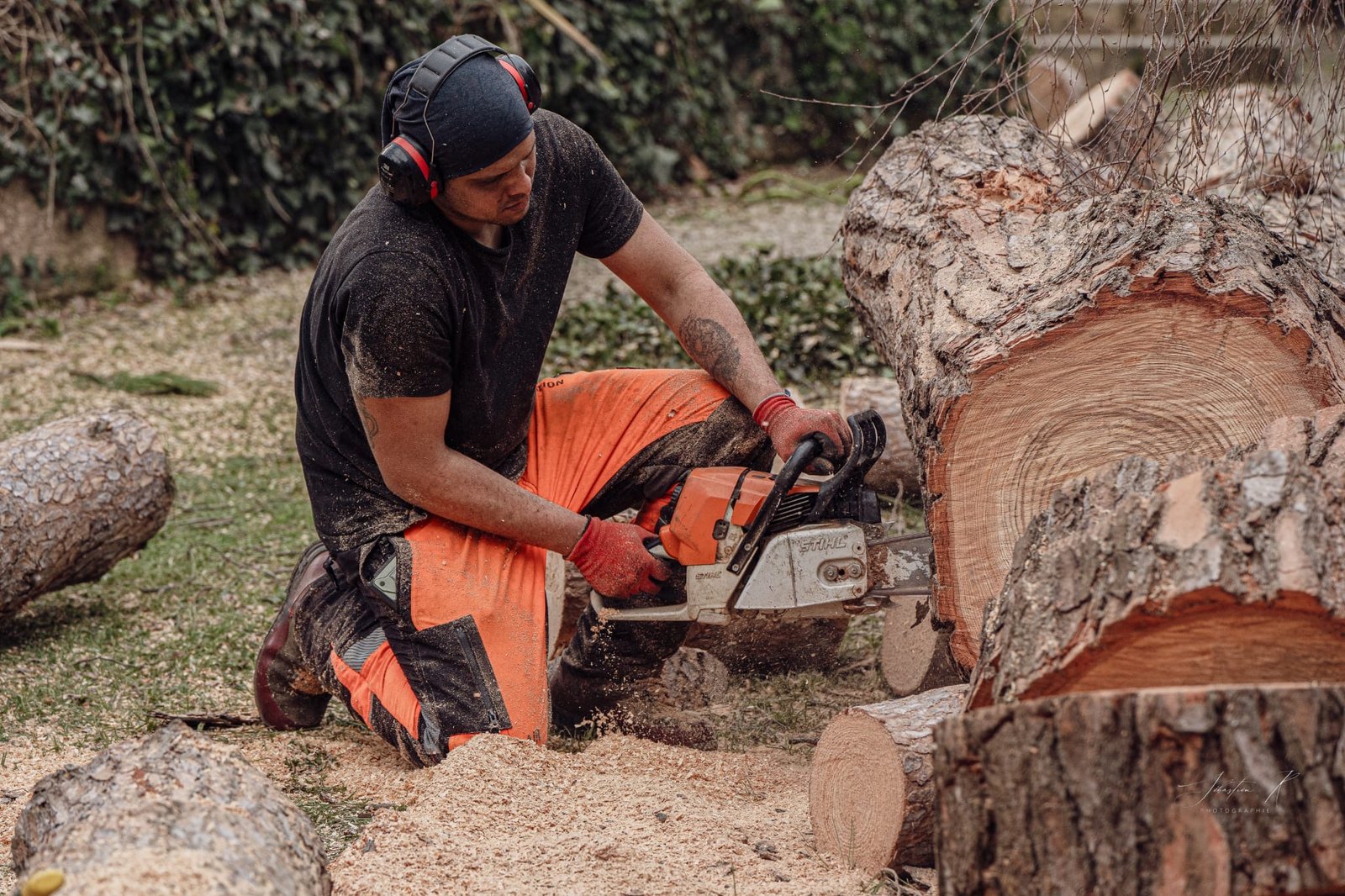 Abbatage arbres en Haute-Garonne. Entretien de la végétation.