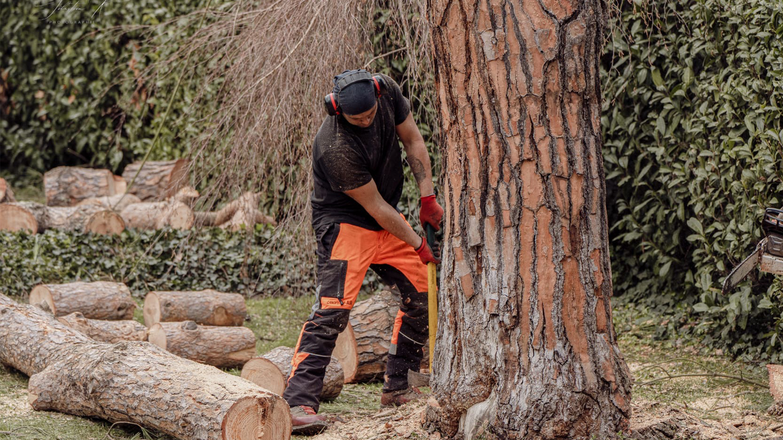 abattage d'arbre toulouse